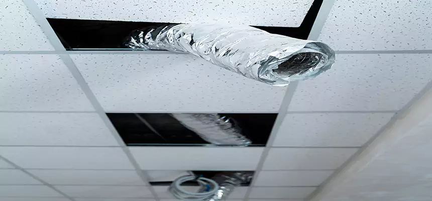 Affordable HVAC Sanitizing After Pest Removal in West Chester