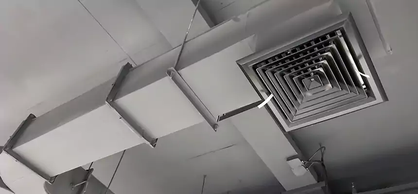 Restorative Allergy Relief Vent Cleaning – Coil, Blower & Housing Detail in West Chester