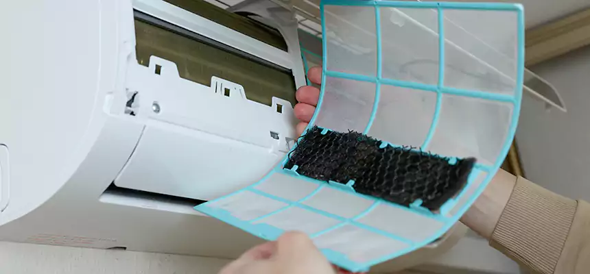 Gentle Ductwork Odor-Control Pet Dander Duct Cleaning in West Chester, PA