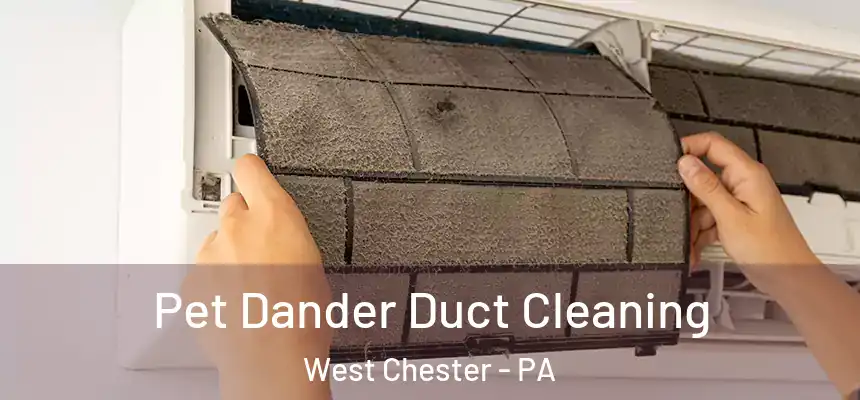  Pet Dander Duct Cleaning West Chester - PA