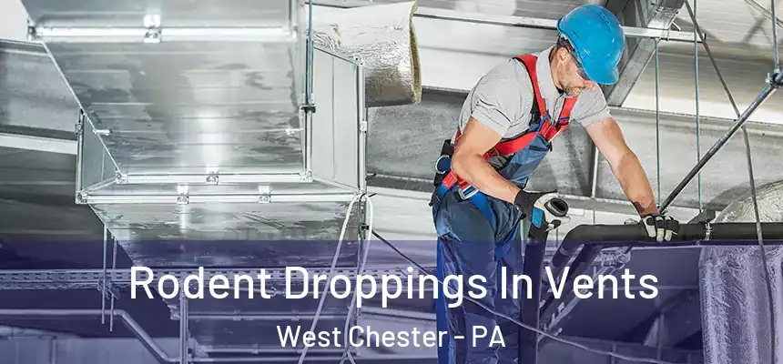  Rodent Droppings In Vents West Chester - PA