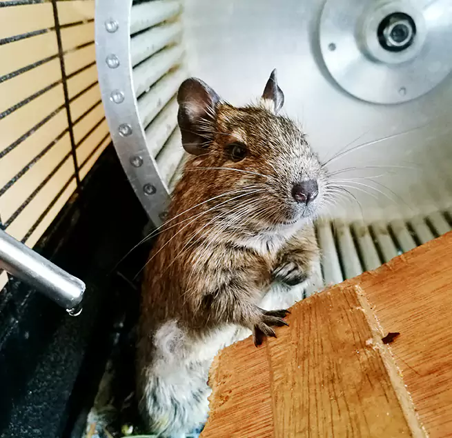 Why Homeowners & Businesses Trust Us West Chester, PA